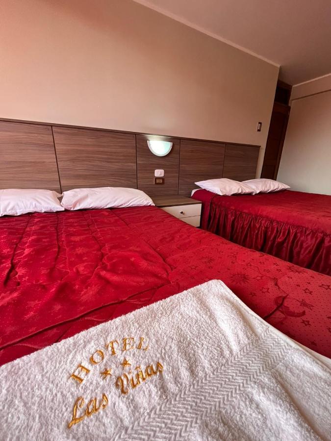 Las Vinas Suite 万卡约 外观 照片